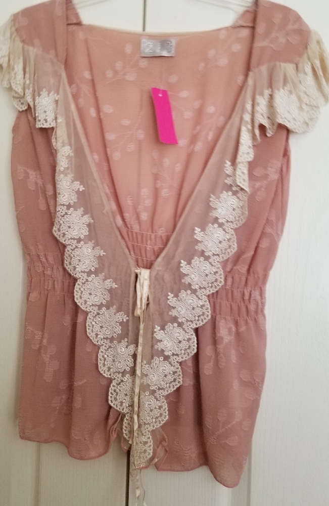 2for$50 Vintage Blush Chiffon & Lace Blouse
